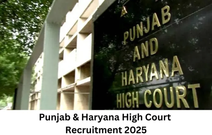 Punjab and Haryana High Court Recruitment 2025 Notification Out for 478 Stenographer Posts