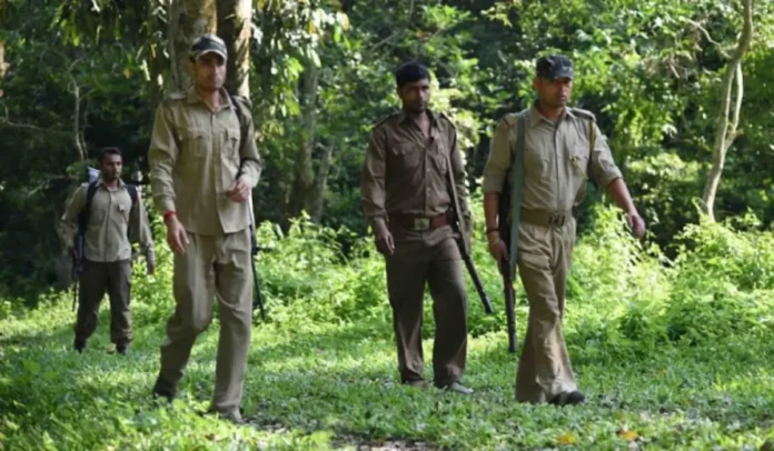 DSSSB Forest Guard Vacancy 2025 Out, Notification & Online Form for 52 Posts