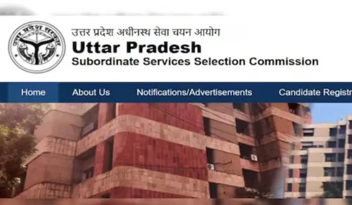 UPSSSC PET Admit Card 2025 Out Soon at upsssc.gov.in, PET Hall Ticket Link