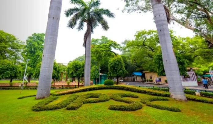 UPSC Drug Inspector Admit Card 2025, Hall Ticket Link UPSC Drug Inspector Admit Card 2025, Hall Ticket Link